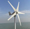 Genway Power Turbina eolica 600 W 24 V Turbina Eolica 5 Pale Eolico Domestico Generatore Mulino Eolico Controller di Carico MPPT