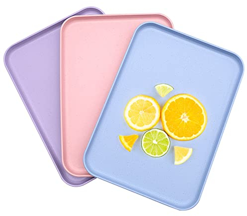 YAXIDAEVER 3 Pezzi Vassoio Plastica Rettangolare,Vassoi da Servizio Grandi Vassoio Rettangolare in Plastica,Plastica Vassoi Servizio Rettangolari per Cucina, Sala da Pranzo 22.5 * 31cm