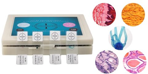 100 Muestras Preparadas para Microscopio en Español, muestras microscopio preparadas, Laminas para microscopio.