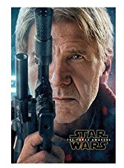 Star Wars The Force weckt – Hans Solo Teaser Maxi-Poster, mehrfarbig