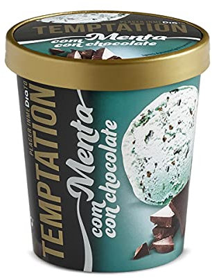 DIA TEMPTATION helado de menta con virutas de chocolate tarrina 350 gr