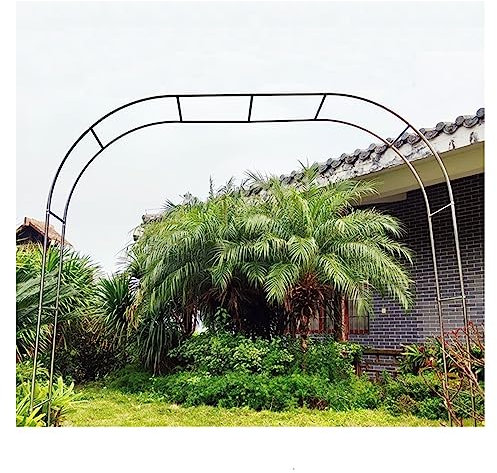 Wetterbeständiges Rankgitter aus Edelstahl, freistehend, gewölbtes Rankgitter für Garten oder Terrasse, 200 cm hoch, ideale Größe 199,9 x 240 cm