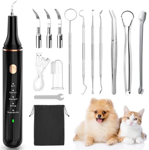 Lullu Kit de Nettoyage Tartre Dentaire à Ultrason Chien, 5 Modes Detartreur