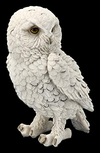 Figuren Shop GmbH Schneeeulen Tier-Figur - Snowy Watch mittel | Vogel-Figur, Deko-Figur, Deko-Artikel, Statue, Skulptur, B 13 cm