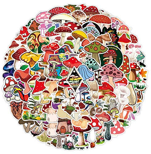100Pcs Scrapbook Zubehör Sticker Set, Vintage Aufkleber Aesthetic Deko Set für Auto Laptop Skateboard Fahrrad Moped Motorrad, Geschenke für Mädchen und Kinder