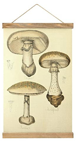 Magnetische Scroll Wild Mushroom Hangers Poster DIY Wall Fabric Decor Hanging Paintings Frame Kit Holder For Living Room