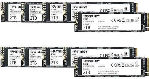 Patriot P300 2TB Internal SSD - NVMe PCIe Gen 3x4 - M.2 2280 - Solid State Drive - 10 Pack