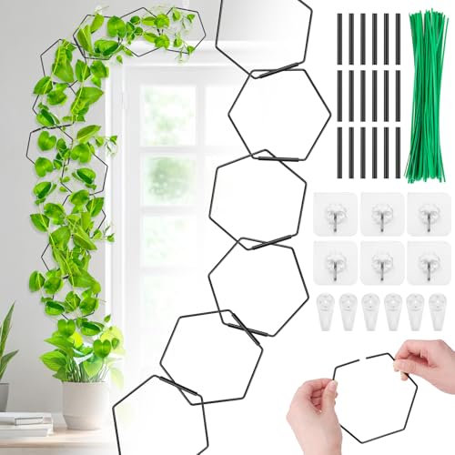Hysagtek 18 PCS Chain Trellis for Climbing Plants Removable DIY Vine Trellis Plant Support Indoor Outdoor Wall Chain Trellis Plants Stainless Steel Plant Supports for Monstera Pothos Ivy Wisteria