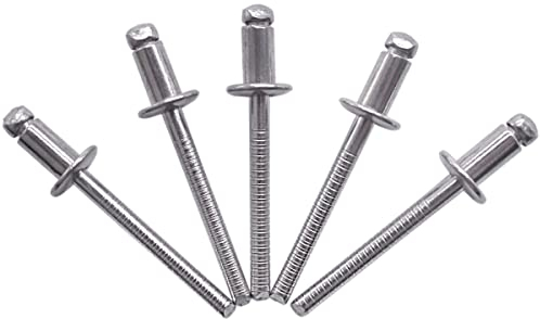 (100 Stück) Edelstahl Blindnieten 4,8 x 10 mm Kuppelkopf Pop Nieten DIN 7337 A2 Niete Nutdorn (100, 4,8 x 10 mm)