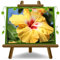 Hibiscus JAUNE Plantes d'Ornement Vase 14 cm