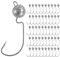Goture 50 Stück Angelhakenset Jigköpfe 7g, Wurmhaken, Scharfen Jighaken Dropshot Haken für Gummifische, Karpfen Bleikopf Angelhaken Offset Angelhaken, Jigkopf Set, Jighaken Set