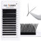 YY Cils, Cils Volume Russe Bouquet Prefait 2D 4D Extension de Cils 0.07 D curl 8-14mm Mix YY Lashes Extension Cils Bouquet Soie de GEMERRY (YY-0.07D-mix 8-14mm)