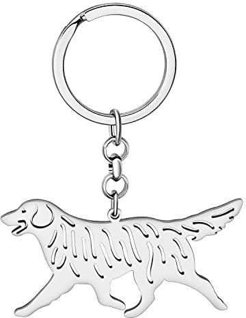 LONYOO Edelstahl niedlichen Hund Schlüsselanhänger Haustiere Hund Geschenke für Hundeliebhaber Frauen Mädchen Welpe Ringe Auto Schlüssel Geldbörse Charms (Versilbert Golden Retriever)