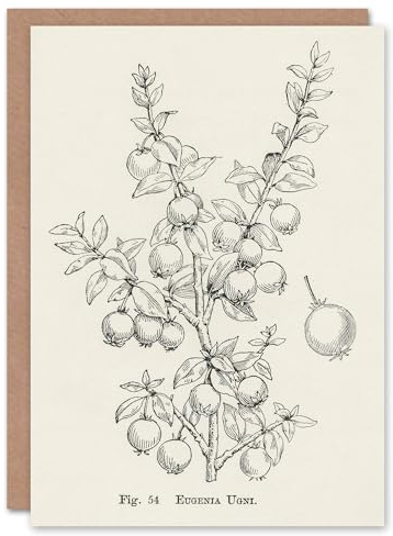 Artery8 John Wright Art Card Fruit Growers Guide Chilean Guava