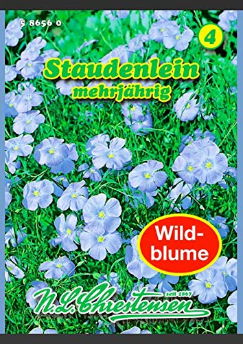 Linum perenne, Staudenlein blau, mehrjährig N.L.Chrestensen Samen 586560-B