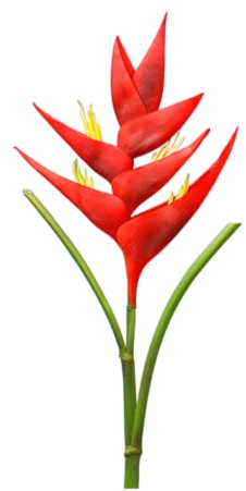 HAOSHICS Grand oiseau de paradis Heliconia tige de fleurs artificielles, 1 tige à 7 pétales, fleurs permanentes, plantes de verdure pour intérieur et extérieur, guirlande de maison, jardin, bureau,