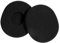 A Pair of Replacement Foam Earpads Ear Pads Ear Cushions for Logitech H800 Wireless Headphones Headset (Black)