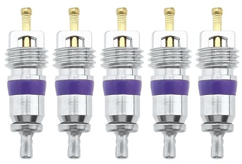 SG Store 5pcs Bobine de Climatiseur de Voiture R134A Système de Climatisation de Voiture Compatible avec BMW Compatible avec Mercedes M8 Outil de Noyau de Valve Climatiseur Automobile