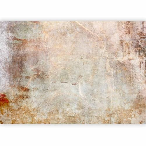 murando - Papier peint panoramique artistique 350x256 cm - Revêtement mural décoration pour chambre salon cuisine - Design unique et moderne - Marron gris - f-A-10113-a-a