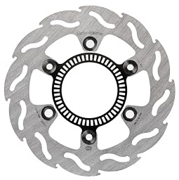 BRAKE DISC FLAME REAR