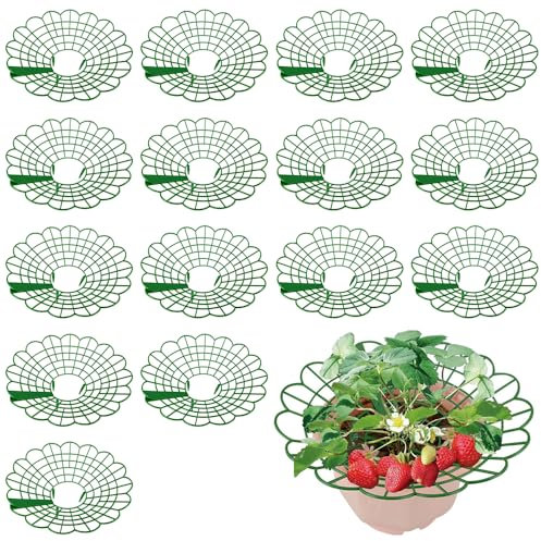 SKIKHN 15 Piezas Soporte para Fresas, Rejillas para Soporte de Fresa, Protector de Estantes de Cultivo de Fresas, para Evitar Que Las Fresas Verduras Flores Plantas se Pudran (Verde)