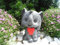 STEINFIGUREN SPICKER Steinfigur Elefant, 134/1.1 Gartenfigur Steinguss Tierfigur Basaltgrau/Rot
