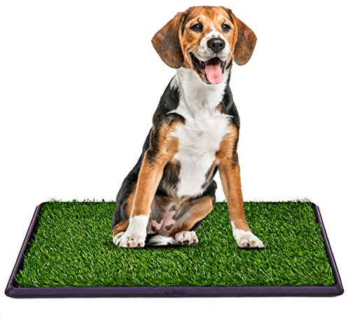 COSTWAY Hundeklo mit Rasen, Hundewelpen-Töpfchenauflage Hundetoilette Welpentoilette 3-Lagen-Trainingsunterlage Tierklo 76x51cm