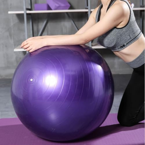 SJMR Swiss Gym Fitness Ball 65cm for Yoga, Pilates & Pregnancy – Anti-Burst Stability Ball with Quick Pump for Fitness, Core Training & Balance (Purple)