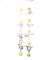 schenken-24 Deko/Ostern/Ostereier/Osterhasen/Auswahl/Osternest, Auswahl :Deko-Eier grün