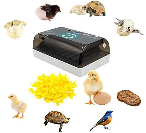 MOGOULUA 12 Egg Incubator Fully Automatic Brooding Machine for Silkies with 100pcs Chicks Glasses Eggs Candler Auto Turning Incubator Bird Hatching Machine for Hatching Beginner