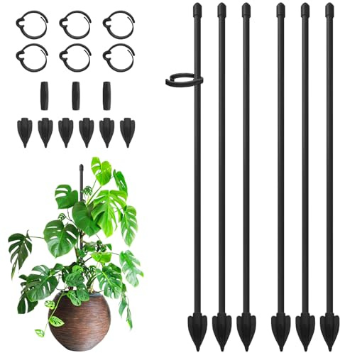 Pflanzenstütze, RIFNY 30cm Staudenhalter Rankhilfe Zimmer mit Clips, Einstellbar Pflanzenhalter für Monstera Orchideen Tomaten Rosen und Blumen (6 Stück, Schwarz)