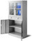 Jan Nowak Aktenschrank C017 mit 2 Schubladen Medizinschrank Büroschrank 2 Abeteile Pulverbeschichtung Stahlblech 185 cm x 90 cm x 40 cm (Grau)