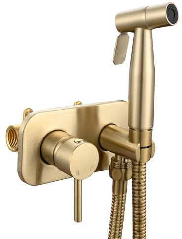 Tecmolog Acier Inoxydable Douchette WC Kit en Bidet Portable Tuyau de Douche Eau Chaude et Eau Froide Bidet Toilette Kit Complet, Or Brossé, WS024J2F2