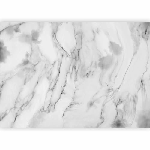 murando PREMIUM Papier peint Pierre 250x175 cm Décoration Murale XXL Poster Tableaux Muraux Tapisserie Photo Trompe l'oeil Marbre Abstrait Effet 3D blanc gris f-C-0460-a-a