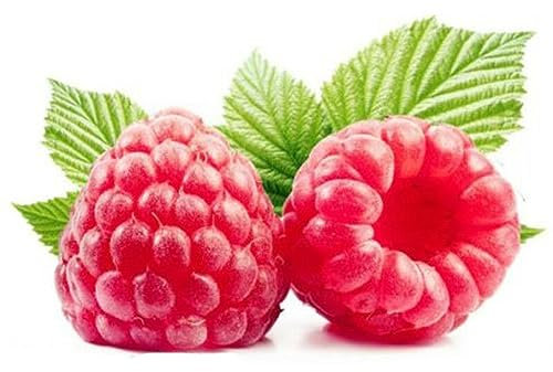 PERZOE 1000 piezas de semillas de frambuesa, planta de granja de patio de jardín de fruta deliciosa de Framberry Rojo Semillas de frambuesa