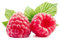 PERZOE 1000 piezas de semillas de frambuesa, planta de granja de patio de jardín de fruta deliciosa de Framberry Rojo Semillas de frambuesa