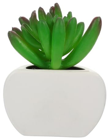 GREENADSCAPE Aimant Frigo Décoratif Plante Magnétique Aimant de Réfrigérateur Créatif pour Cuisine et Bureau Accessoire Maison Vivid et Aux Rayures