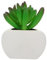 GREENADSCAPE Aimant Frigo Décoratif Plante Magnétique Aimant de Réfrigérateur Créatif pour Cuisine et Bureau Accessoire Maison Vivid et Aux Rayures