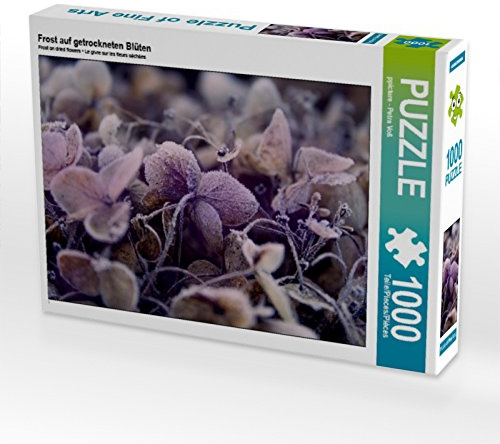 CALVENDO Puzzle Frost auf getrockneten Blüten | 1000 Teile Lege-Größe 64 x 48 cm Foto-Puzzle für glückliche Stunden