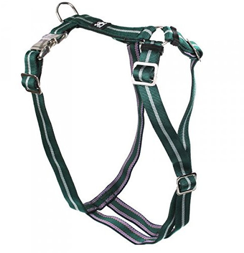 Feltmann Premium Hundegeschirr mit Alu-Max®-Metall-Steckschlössern, Soft-Nylonband grün Streifen 35-50 cm, 15 mm