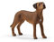 schleich 13895 Rhodesian Ridgeback, für Kinder ab 3+ Jahren, FARM WORLD - Spielfigur, Weizenfarben