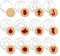 GWHOLE 12 PCS Cookie Cutter Christmas Linzer Cookie Cutter Set Stainless Steel Pastry Cutter for Baking Accessories