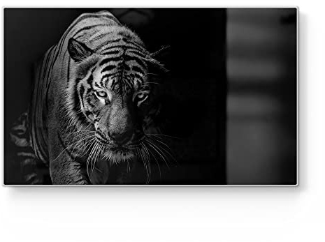 DEQORI Frühstücksbrett Glas | klein 23x14 cm | Motiv Tiger auf der Pirsch | Design Schneidebrett für Küche | Frühstücksbrettchen antibakteriell & rutschfest | Glasplatte & Servierplatte