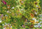 Ryba 29090 Jungle Tourist Puzzle 1000 Teile