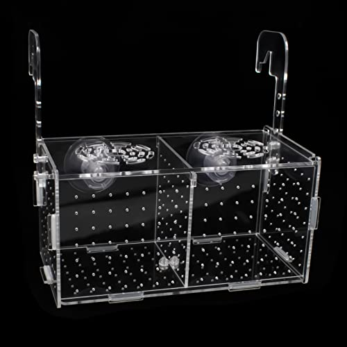 Acryl Fischzuchtbox Fischzucht Kasten mit 2 Saugnäpfen Transparente Aquarium Breeder Box Fisch Isolation Box Wandmontiertes Fischzuchtbox für Babyfische Garnelen