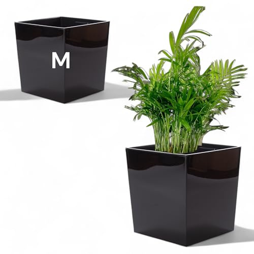 MELTOM Blumentopf Quadratisch 18,5 x 19,5 cm Schwarz Hochglanz | Maße oben 18,5 x 18,5 cm, unten 16,5 cm, Höhe 19,5 cm · 5,7 Liter · herausnehmbarer Einsatz · ohne Bodenloch