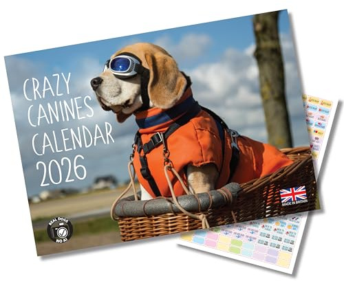 Kalender 2025 A4 Dogs Crazy Canines Kalender Monatsansicht A3 geöffnet Funny Dogs Wandkalender von Absolutely Yours.
