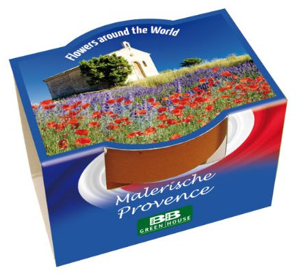 Bull & Bear Mini Pflanzset 'Malerische Provence' Blumen Samen, Tontöpfchen mit Blumensamen und Pflanzsubstrat