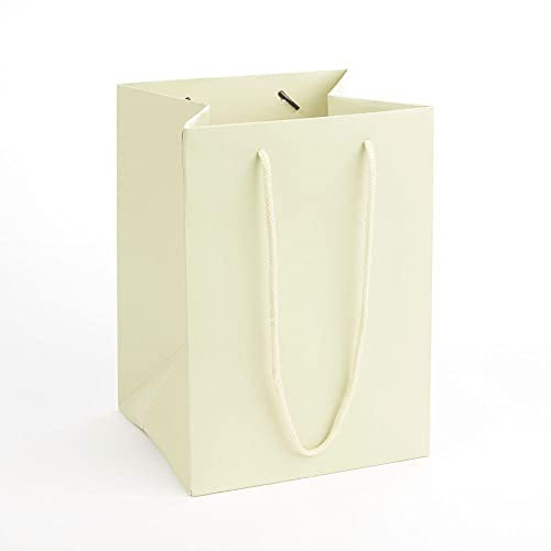 Oasis Gift Bag - Pack of 10 Rope Handle Porto Bags - Ivory - Florist Hand Tied Flower Plant Transporter - 25cm x 18cm x 17cm