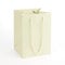 Oasis Gift Bag - Pack of 10 Rope Handle Porto Bags - Ivory - Florist Hand Tied Flower Plant Transporter - 25cm x 18cm x 17cm